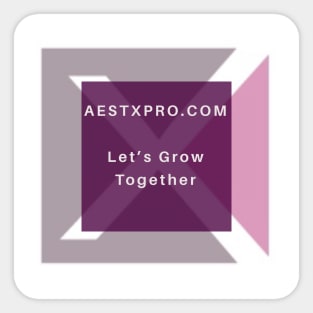 AESTXPRO Sticker